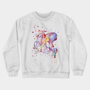 Hip bone ligaments and joint Crewneck Sweatshirt